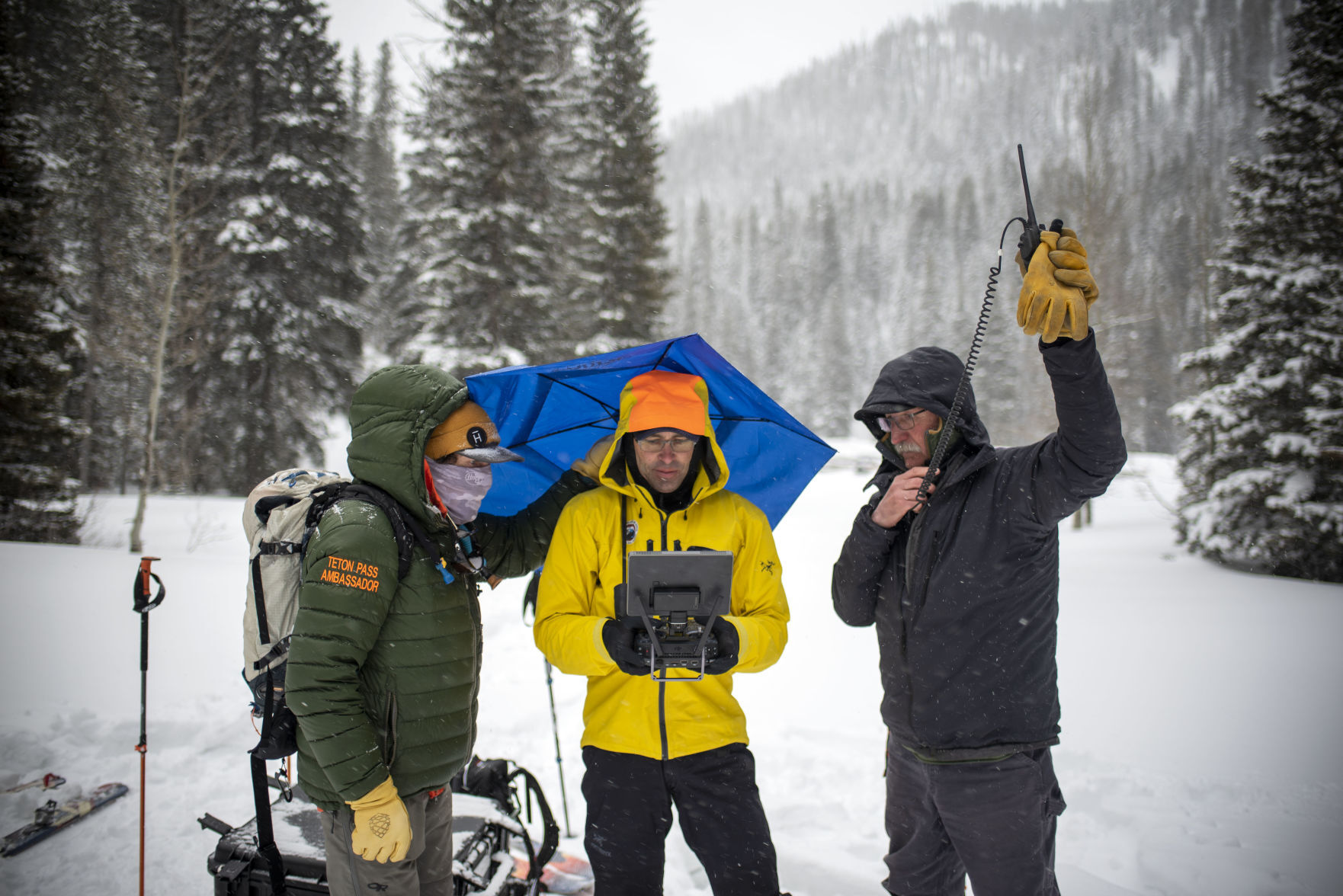 Taylor Mountain avalanche
